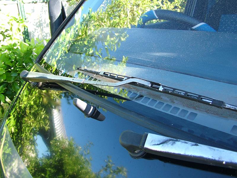 bluey-rust-after 003.jpg